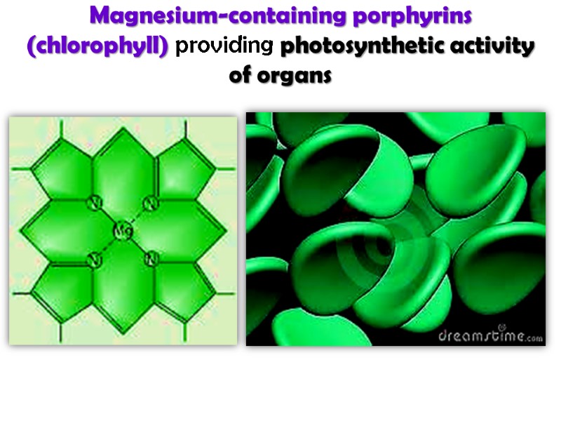 Magnesium-containing porphyrins (chlorophyll) providing photosynthetic activity of organs